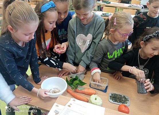 Grafika 3: Mieszkamy na wsi - poznajemy rośliny uprawne