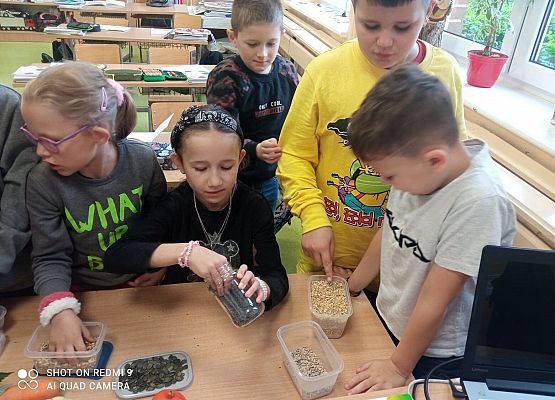 Grafika 4: Mieszkamy na wsi - poznajemy rośliny uprawne