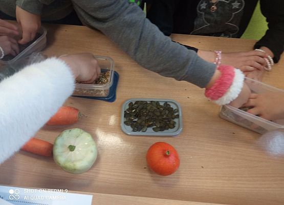 Grafika 5: Mieszkamy na wsi - poznajemy rośliny uprawne