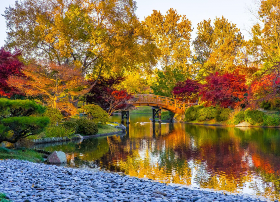 zdjęcie ukazujące jesień