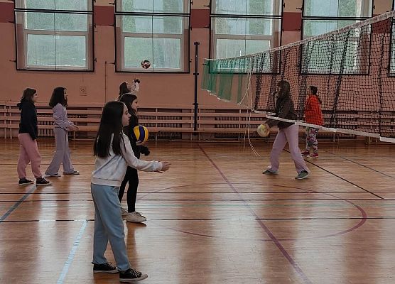 gry zespołowe na sali gimnastycznej