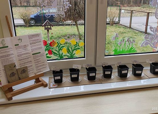 ogródek na parapecie