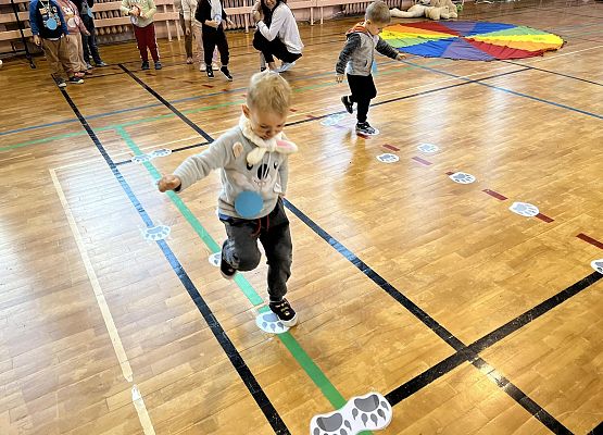 misiowy tor przeszkód