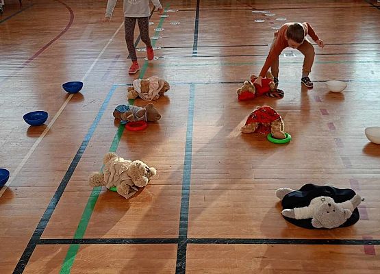 misiowy tor przeszkód