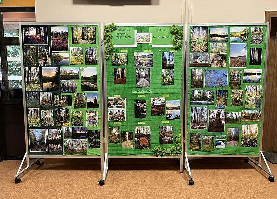 Grafika 159: Dzień Patrona Szkoły oraz Stulecie Lasów Państwowych