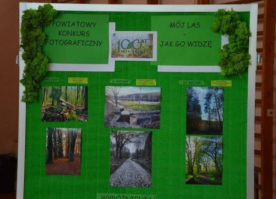 Grafika 13: Dzień Patrona Szkoły oraz Stulecie Lasów Państwowych