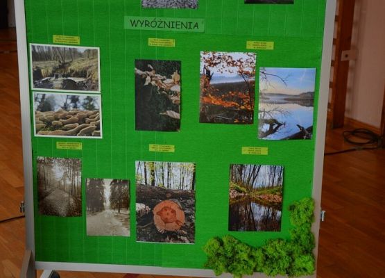 Grafika 15: Dzień Patrona Szkoły oraz Stulecie Lasów Państwowych