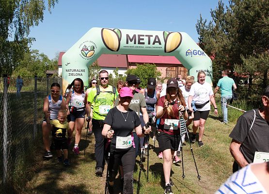 Grafika 48: "Rodzinny Bieg Leśnika" na 8 kilometrów przy Szkole Podstawowej w Leśnicach