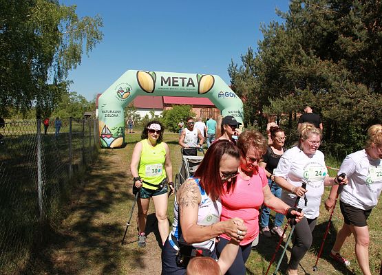 Grafika 53: "Rodzinny Bieg Leśnika" na 8 kilometrów przy Szkole Podstawowej w Leśnicach