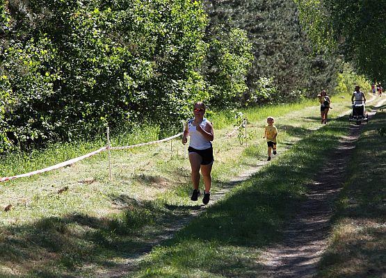 Grafika 87: "Rodzinny Bieg Leśnika" na 8 kilometrów przy Szkole Podstawowej w Leśnicach