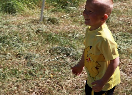 Grafika 92: "Rodzinny Bieg Leśnika" na 8 kilometrów przy Szkole Podstawowej w Leśnicach