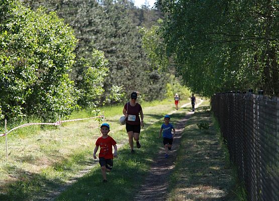 Grafika 98: "Rodzinny Bieg Leśnika" na 8 kilometrów przy Szkole Podstawowej w Leśnicach