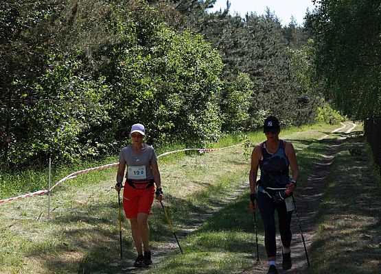 Grafika 106: "Rodzinny Bieg Leśnika" na 8 kilometrów przy Szkole Podstawowej w Leśnicach