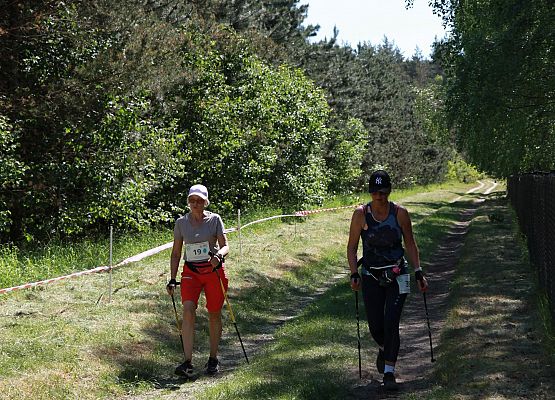 Grafika 108: "Rodzinny Bieg Leśnika" na 8 kilometrów przy Szkole Podstawowej w Leśnicach