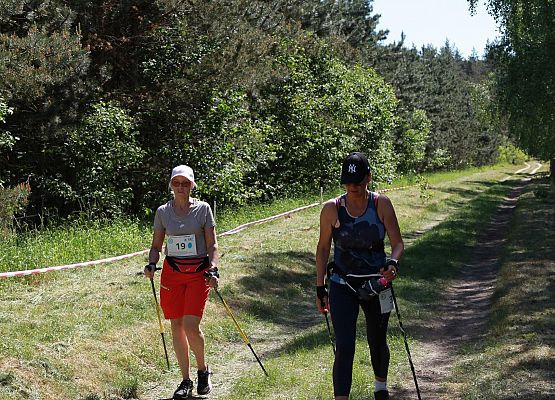 Grafika 109: "Rodzinny Bieg Leśnika" na 8 kilometrów przy Szkole Podstawowej w Leśnicach