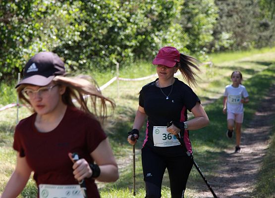 Grafika 128: "Rodzinny Bieg Leśnika" na 8 kilometrów przy Szkole Podstawowej w Leśnicach