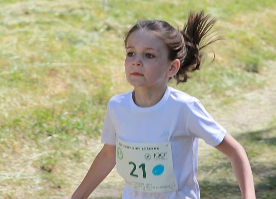 Grafika 132: "Rodzinny Bieg Leśnika" na 8 kilometrów przy Szkole Podstawowej w Leśnicach