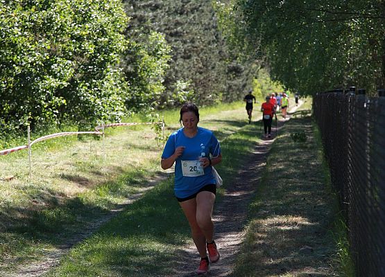Grafika 133: "Rodzinny Bieg Leśnika" na 8 kilometrów przy Szkole Podstawowej w Leśnicach