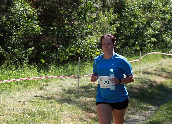 Grafika 135: "Rodzinny Bieg Leśnika" na 8 kilometrów przy Szkole Podstawowej w Leśnicach