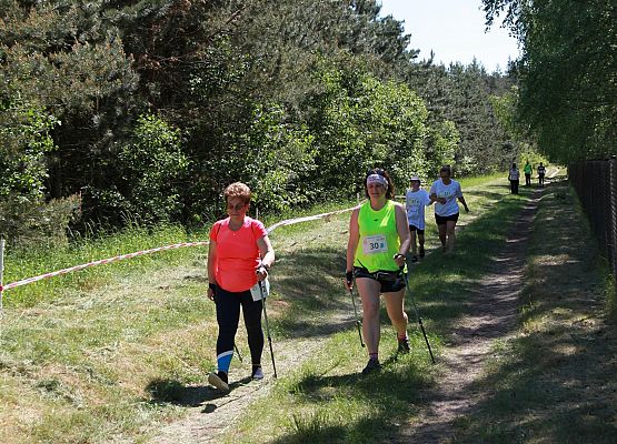 Grafika 146: "Rodzinny Bieg Leśnika" na 8 kilometrów przy Szkole Podstawowej w Leśnicach