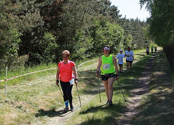 Grafika 147: "Rodzinny Bieg Leśnika" na 8 kilometrów przy Szkole Podstawowej w Leśnicach
