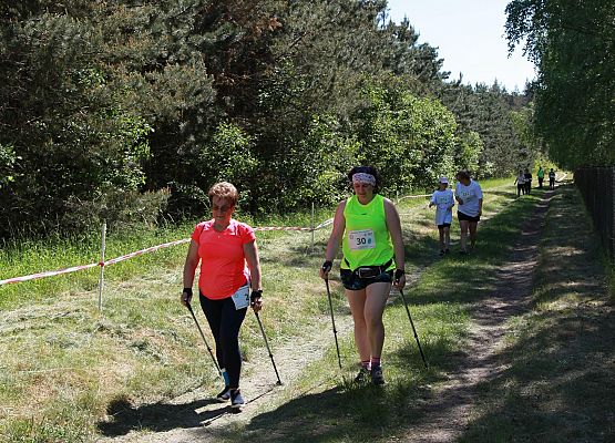 Grafika 148: "Rodzinny Bieg Leśnika" na 8 kilometrów przy Szkole Podstawowej w Leśnicach