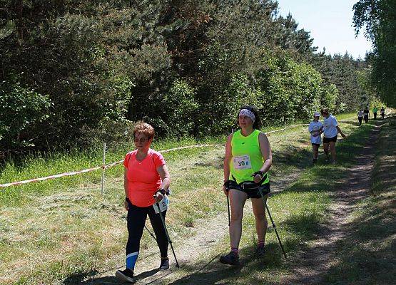 Grafika 149: "Rodzinny Bieg Leśnika" na 8 kilometrów przy Szkole Podstawowej w Leśnicach