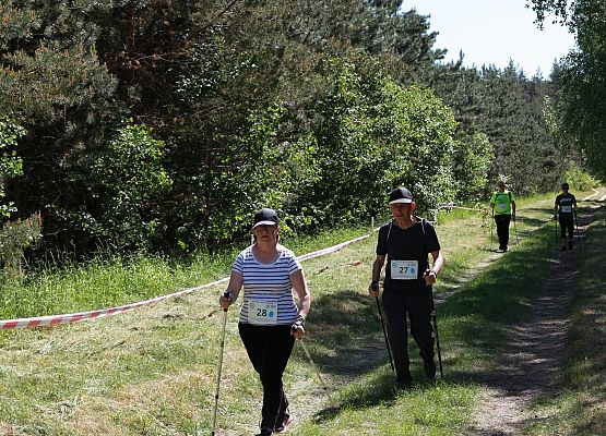 Grafika 158: "Rodzinny Bieg Leśnika" na 8 kilometrów przy Szkole Podstawowej w Leśnicach