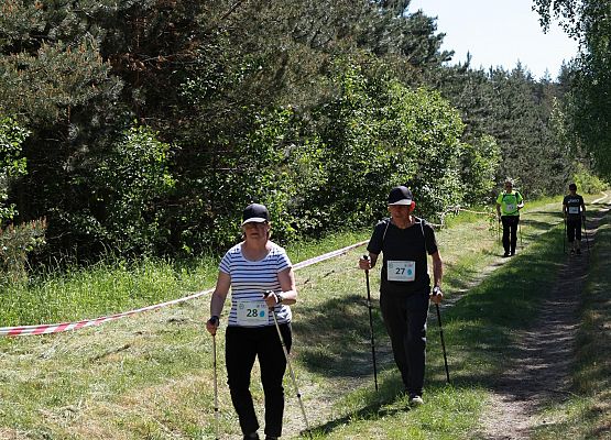 Grafika 159: "Rodzinny Bieg Leśnika" na 8 kilometrów przy Szkole Podstawowej w Leśnicach