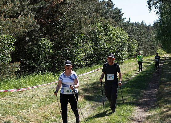 Grafika 160: "Rodzinny Bieg Leśnika" na 8 kilometrów przy Szkole Podstawowej w Leśnicach