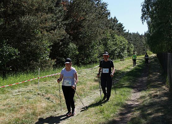Grafika 162: "Rodzinny Bieg Leśnika" na 8 kilometrów przy Szkole Podstawowej w Leśnicach