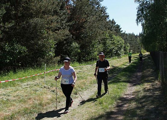 Grafika 163: "Rodzinny Bieg Leśnika" na 8 kilometrów przy Szkole Podstawowej w Leśnicach