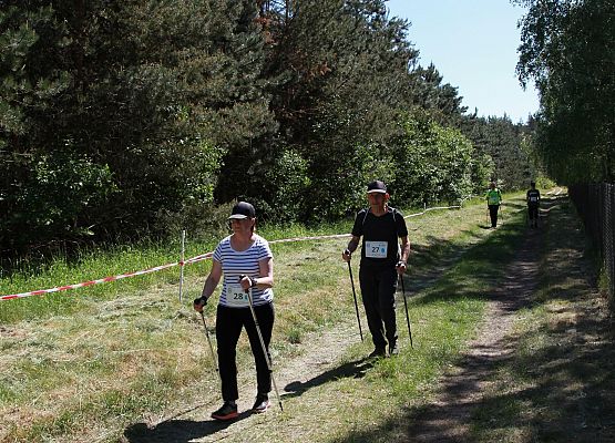 Grafika 164: "Rodzinny Bieg Leśnika" na 8 kilometrów przy Szkole Podstawowej w Leśnicach