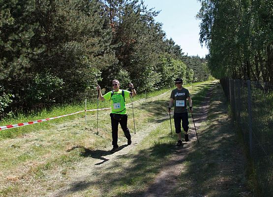 Grafika 169: "Rodzinny Bieg Leśnika" na 8 kilometrów przy Szkole Podstawowej w Leśnicach