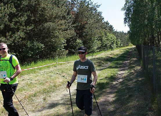 Grafika 172: "Rodzinny Bieg Leśnika" na 8 kilometrów przy Szkole Podstawowej w Leśnicach