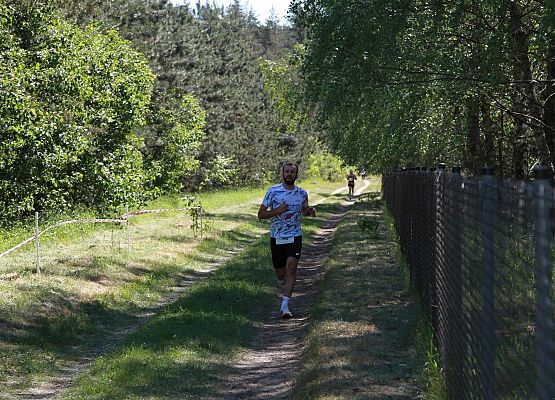 Grafika 173: "Rodzinny Bieg Leśnika" na 8 kilometrów przy Szkole Podstawowej w Leśnicach