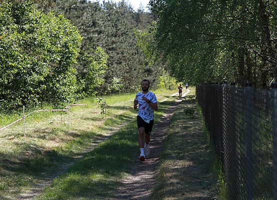 Grafika 174: "Rodzinny Bieg Leśnika" na 8 kilometrów przy Szkole Podstawowej w Leśnicach