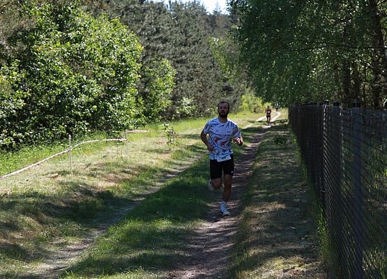 Grafika 176: "Rodzinny Bieg Leśnika" na 8 kilometrów przy Szkole Podstawowej w Leśnicach