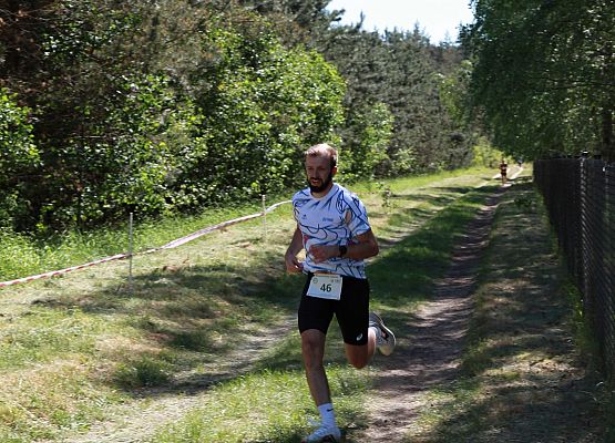 Grafika 179: "Rodzinny Bieg Leśnika" na 8 kilometrów przy Szkole Podstawowej w Leśnicach