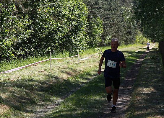 Grafika 191: "Rodzinny Bieg Leśnika" na 8 kilometrów przy Szkole Podstawowej w Leśnicach