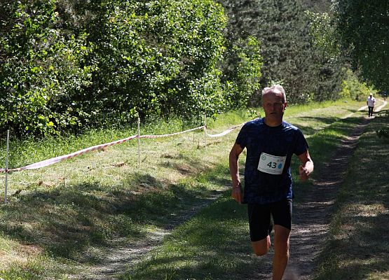 Grafika 193: "Rodzinny Bieg Leśnika" na 8 kilometrów przy Szkole Podstawowej w Leśnicach
