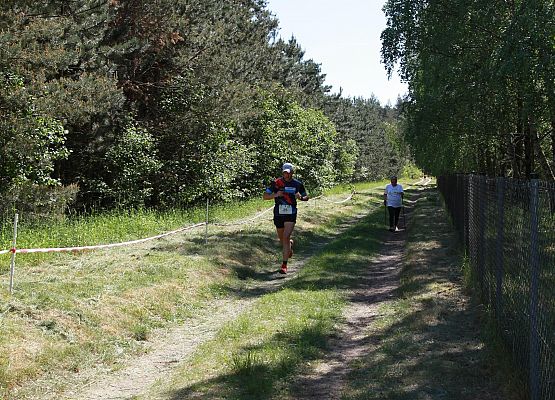 Grafika 196: "Rodzinny Bieg Leśnika" na 8 kilometrów przy Szkole Podstawowej w Leśnicach