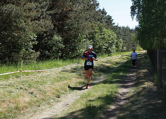 Grafika 199: "Rodzinny Bieg Leśnika" na 8 kilometrów przy Szkole Podstawowej w Leśnicach