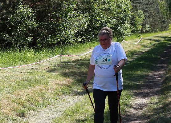 Grafika 204: "Rodzinny Bieg Leśnika" na 8 kilometrów przy Szkole Podstawowej w Leśnicach