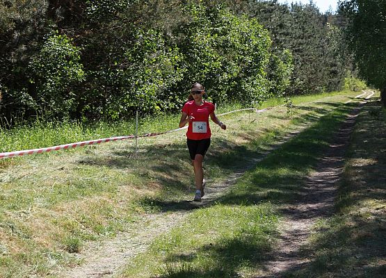 Grafika 209: "Rodzinny Bieg Leśnika" na 8 kilometrów przy Szkole Podstawowej w Leśnicach