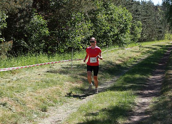 Grafika 210: "Rodzinny Bieg Leśnika" na 8 kilometrów przy Szkole Podstawowej w Leśnicach