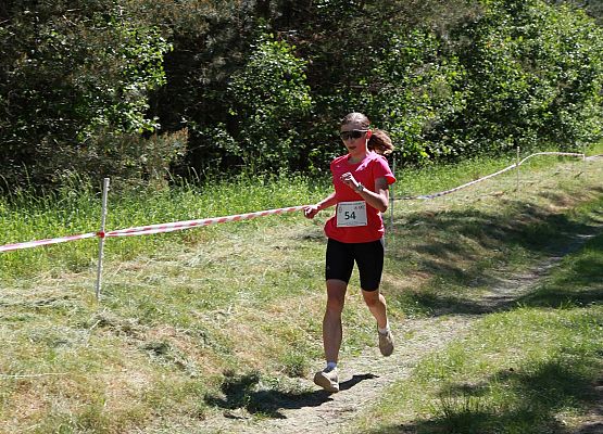 Grafika 213: "Rodzinny Bieg Leśnika" na 8 kilometrów przy Szkole Podstawowej w Leśnicach