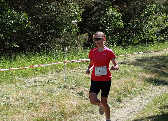 Grafika 214: "Rodzinny Bieg Leśnika" na 8 kilometrów przy Szkole Podstawowej w Leśnicach