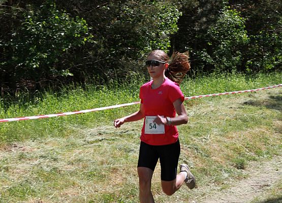 Grafika 215: "Rodzinny Bieg Leśnika" na 8 kilometrów przy Szkole Podstawowej w Leśnicach