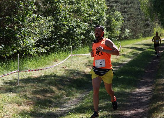 Grafika 217: "Rodzinny Bieg Leśnika" na 8 kilometrów przy Szkole Podstawowej w Leśnicach